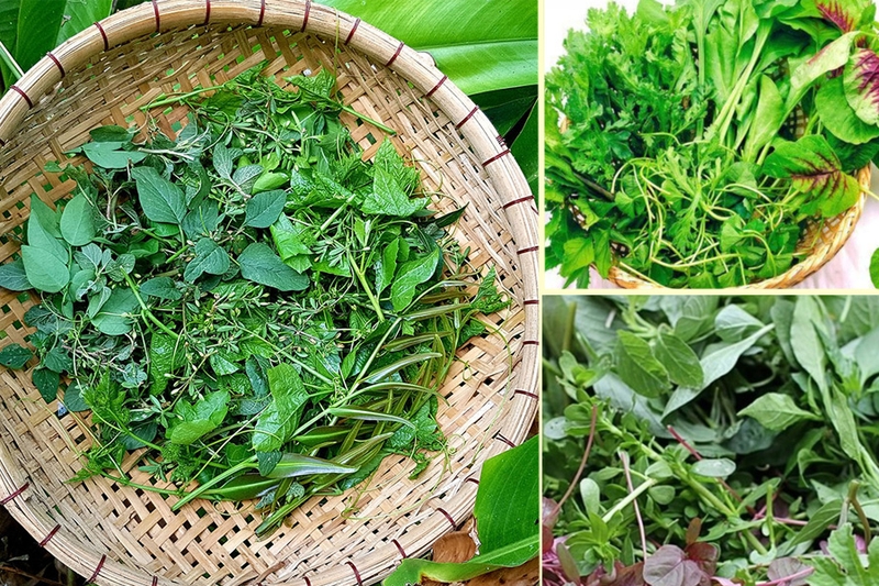 Rau tập tàng​ là rau gì? Thành phần dinh dưỡng và lợi ích sức khỏe 1