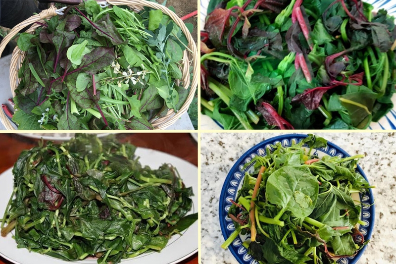 Rau tập tàng​ là rau gì? Thành phần dinh dưỡng và lợi ích sức khỏe 4