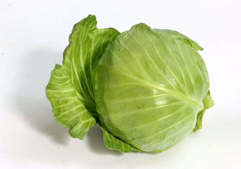 Sau sinh ăn bắp cải được không? Ăn bắp cải có mất sữa không? 1