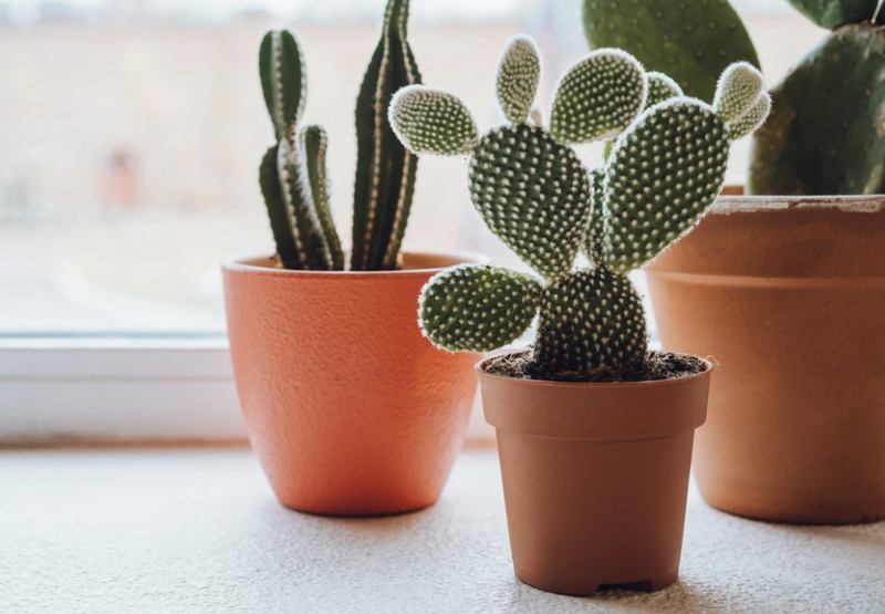 Sóng điện thoại có ảnh hưởng đến trẻ sơ sinh? 4