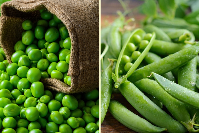 Sữa đậu Hà Lan có tác dụng gì? Hướng dẫn bạn cách nấu đơn giản và bổ dưỡng 5