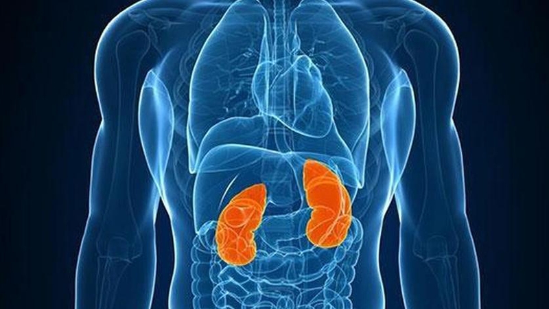 Suy thận độ 4 có phải chạy thận không? Có chữa được không? 1