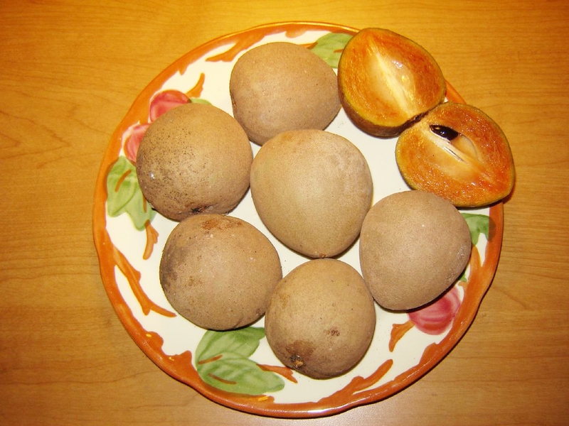 Tắc ruột do bã thức ăn là gì? Có nguy hiểm không? 5