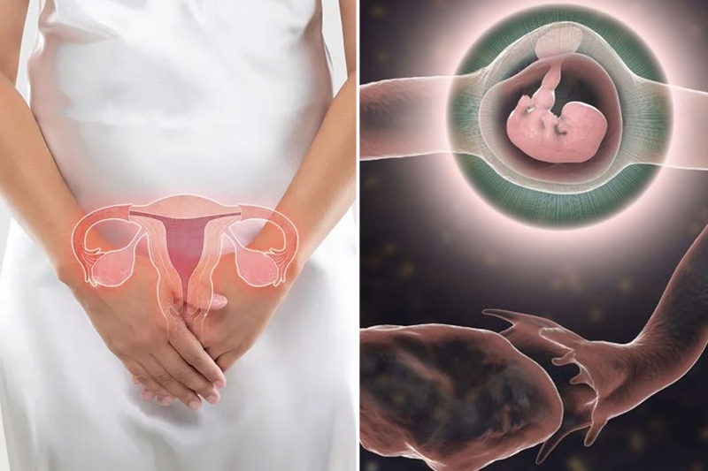 Thai ngoài tử cung đoạn kẽ là gì? Phương pháp chẩn đoán và điều trị 1