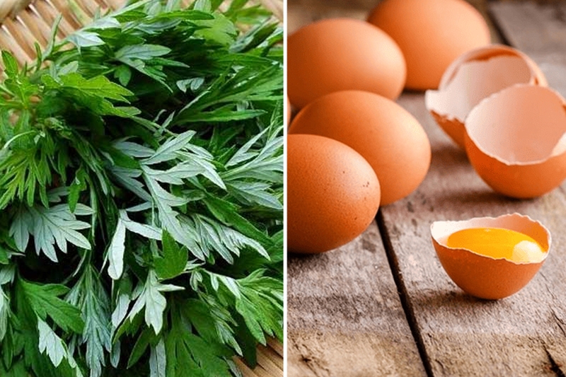 Trứng ngải cứu có tác dụng gì? Ai nên và không nên sử dụng 1