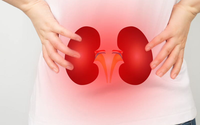 Uống cà gai leo mất ngủ có đúng không? Những lưu ý quan trọng khi sử dụng 4