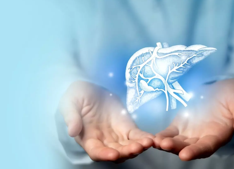 Uống diệp hạ châu nhiều có tốt không? Công dụng của diệp hạ châu đối với sức khỏe 3