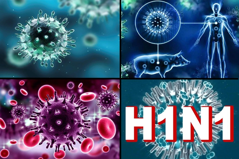 Virus cúm A/H1N1 là gì? Cách lây lan và biện pháp phòng ngừa 1