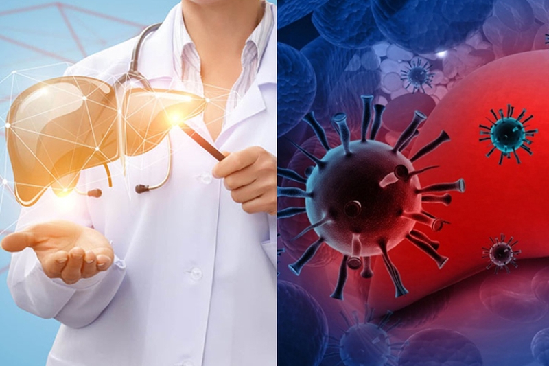 Xét nghiệm HEV là gì? Sự cần thiết và ứng dụng của xét nghiệm HEV 2