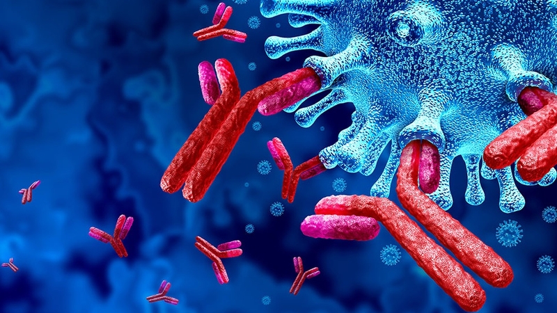 xet-nghiem-ig-e-la-gi-khi-nao-lam-xet-nghiem-ig-e 1