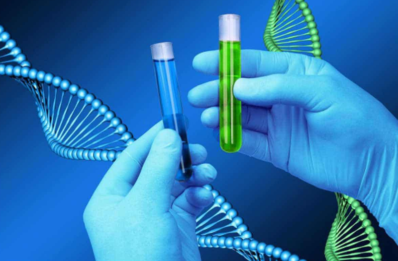 Xét nghiệm sinh học phân tử ở đâu? 3