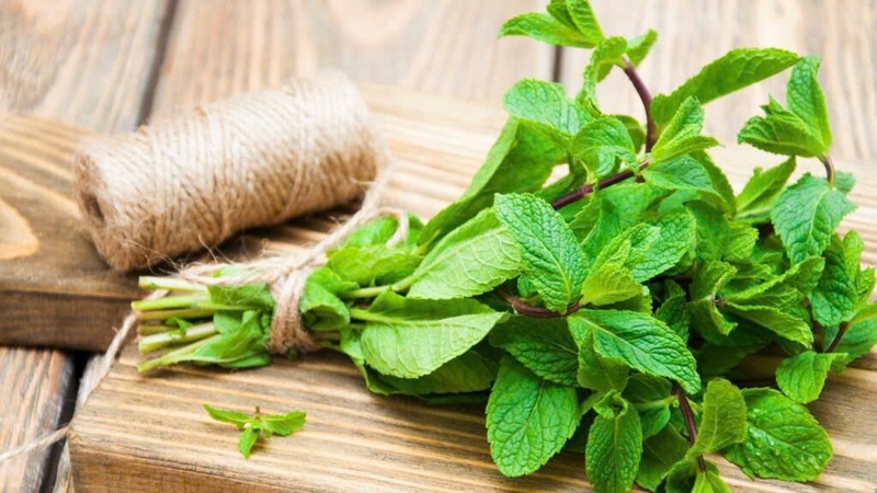 baking-soda-mix-bac-ha-cach-su-dung-nhu-the-nao (4).jpg