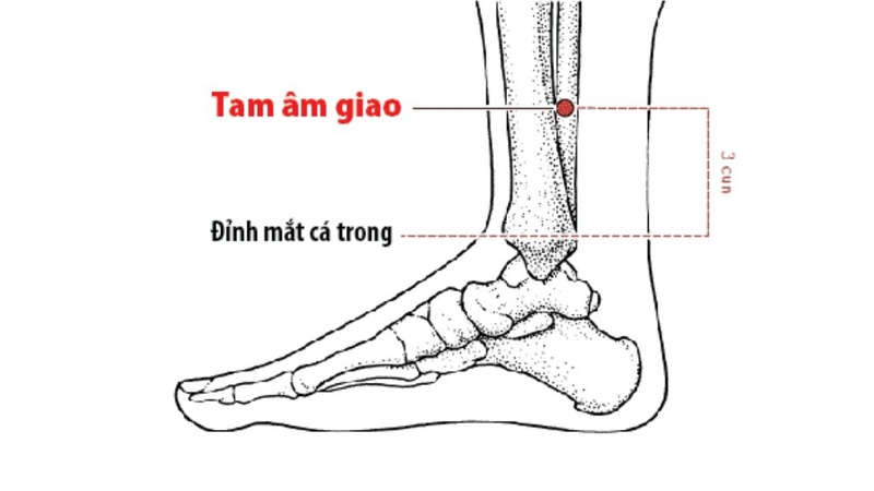 Bấm huyệt chữa tiểu đường có tác dụng hiệu quả không? 7