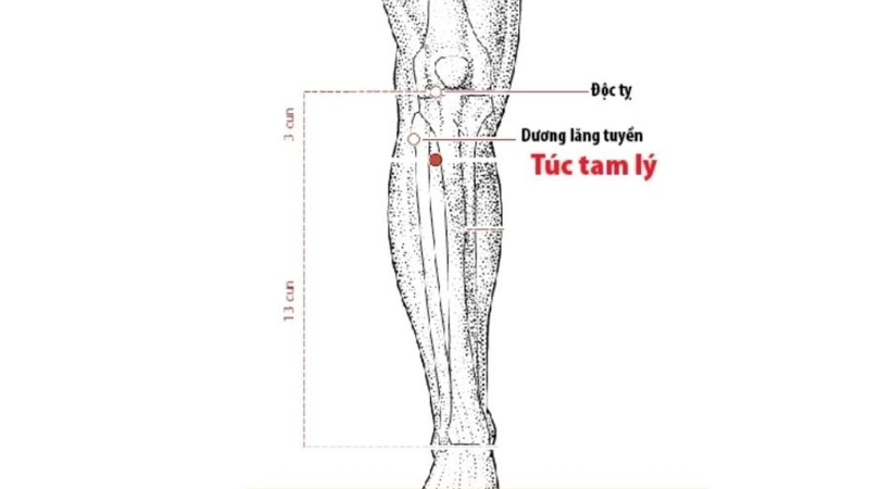 Bấm huyệt chữa tiểu đường có tác dụng hiệu quả không? 6
