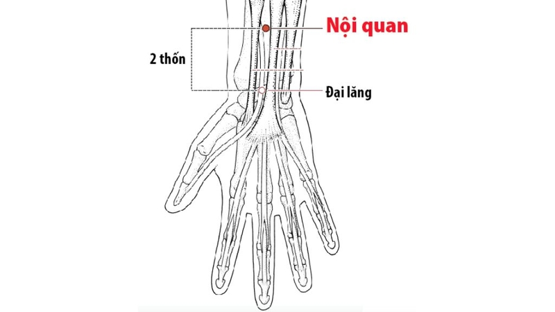 Bấm huyệt chữa tiểu đường có tác dụng hiệu quả không? 5