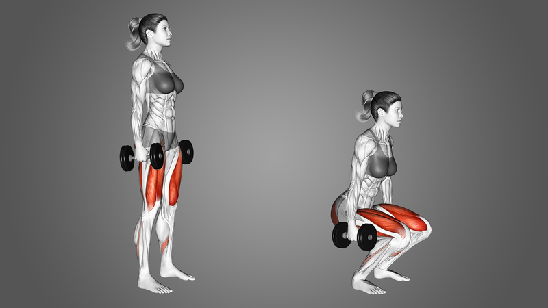 Bạn biết gì về Dumbbell Squat? Cần lưu ý những gì khi tập Dumbbell Squat? 1