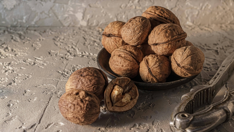 Quả óc chó chứa omega 3 và chất chống oxy hóa giúp hỗ trợ phát triển trí não