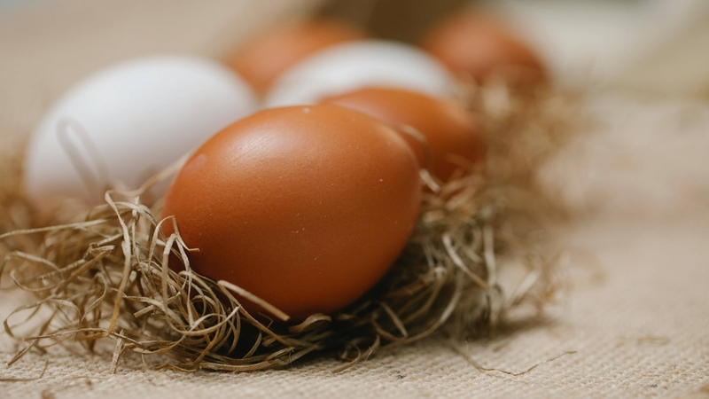 Trứng gà có hàm lượng omega 3 cao hơn trứng thường