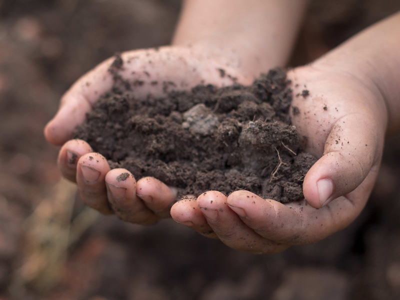 Bạn đã biết bệnh Whitmore là gì chưa?