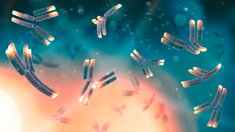 Bạn có biết Vitamin B6 giúp cải thiện hệ miễn dịch như thế nào không? 1