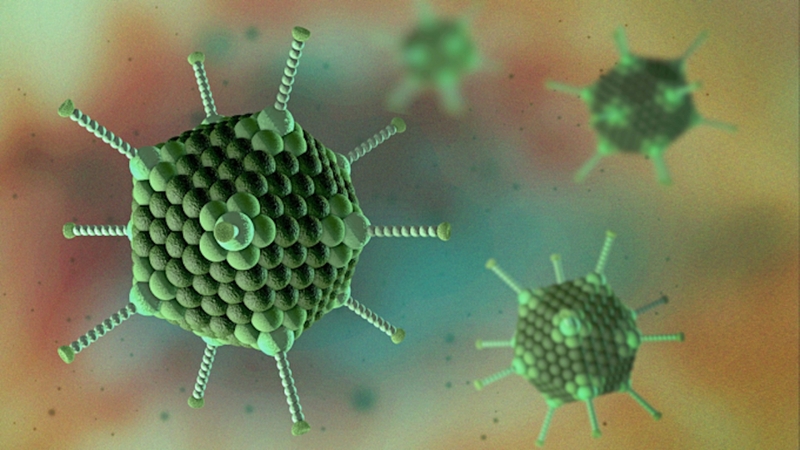 Bạn có biết Vitamin B6 giúp cải thiện hệ miễn dịch như thế nào không? 2