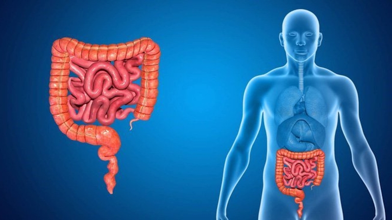 Bạn có biết Vitamin B6 giúp cải thiện hệ miễn dịch như thế nào không? 3