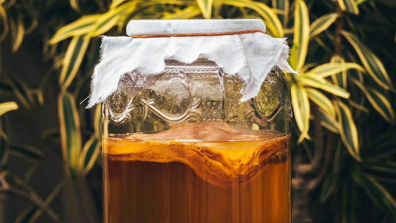 Bạn đã biết các dấu hiệu Kombucha bị hư chưa? 1