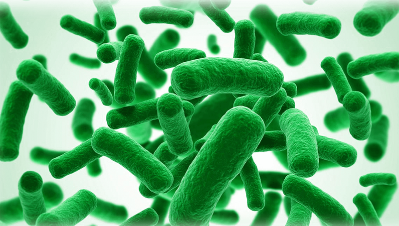 Bạn đã biết cách bảo quản Yakult chuẩn chưa? 2