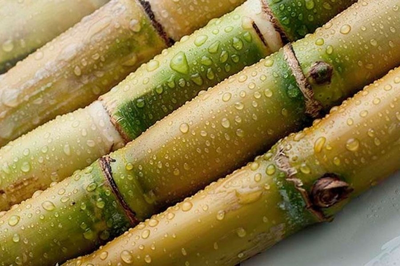 Bạn đã biết cách nấu nước dashi từ mía cực đơn giản cho bé ăn dặm chưa? 3