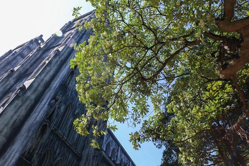 ban-da-biet-cach-su-dung-vo-cay-hoa-sua-chua-xuong-khop-hieu-qua-chua 2.jpg