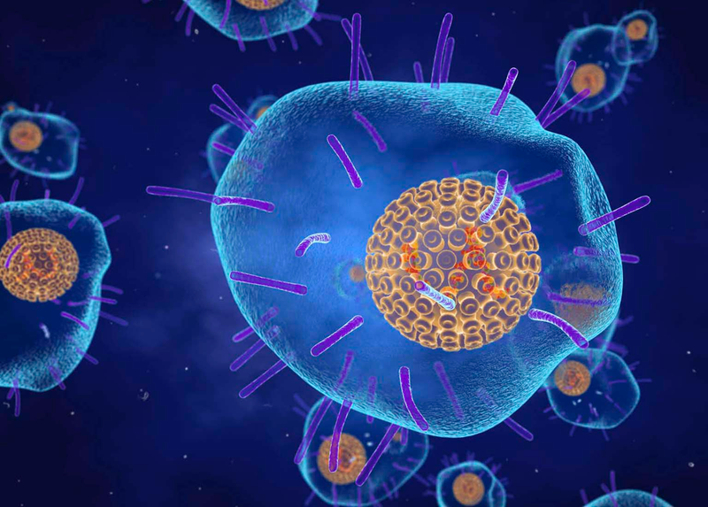 Bạn đã biết nguyên nhân bệnh thủy đậu là gì hay chưa?2