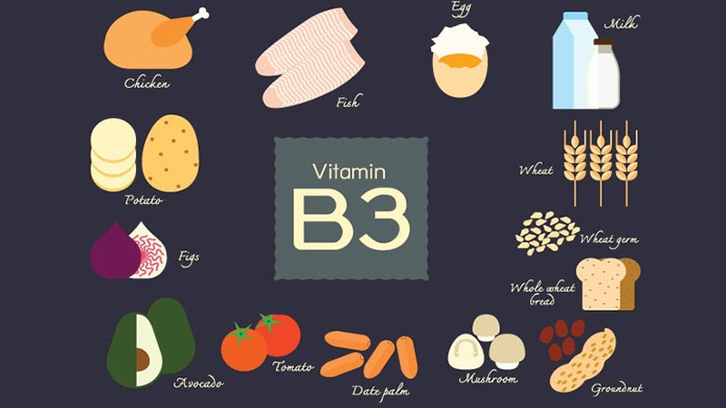 Bạn đã biết vitamin B3 có trong thực phẩm nào chưa?2
