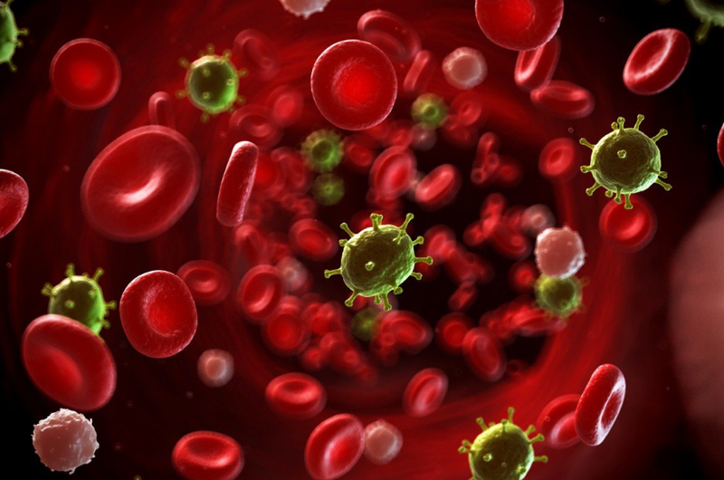 Bạn nên biết 9 công dụng của nấm đầu khỉ, rất tốt cho sức khỏe 3