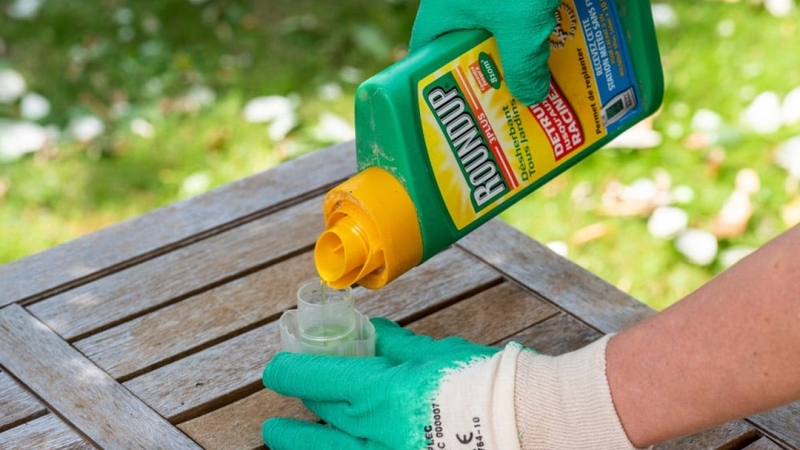 Bạn sẽ gặp phải triệu chứng gì khi bị ngộ độc glyphosate?1