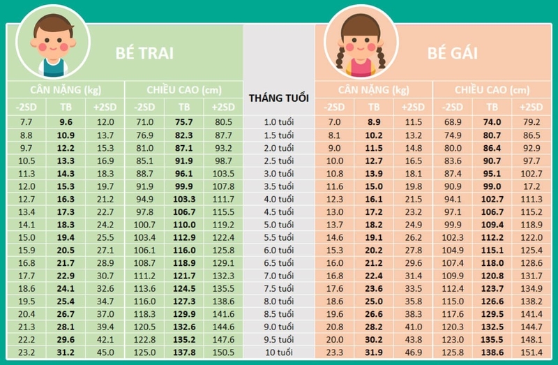 Bảng tham khảo chiều cao cân nặng bé gái 7 tuổi tiêu chuẩn bố mẹ cần biết 2