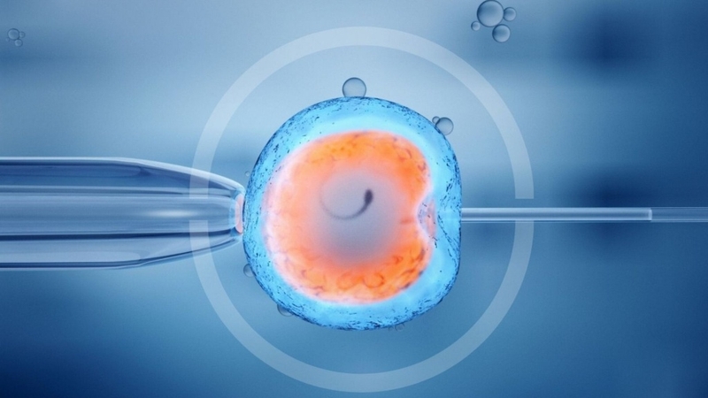 Bảng tính tuần thai ra tháng: Hướng dẫn chi tiết cho bà bầu 4