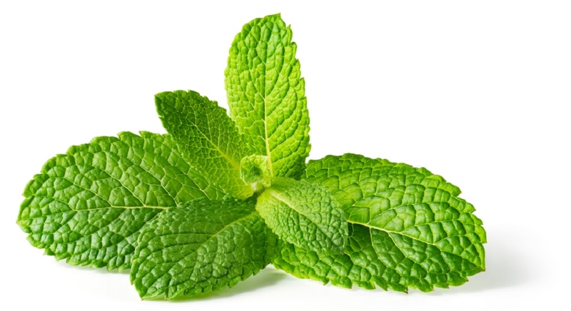 Băng vệ sinh mát lạnh có tốt không