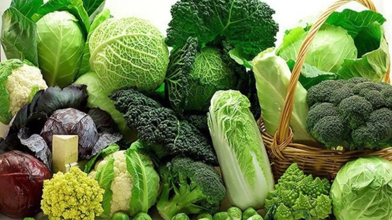 Việc bổ sung đầy đủ rau xanh là điều cần thiết để cân bằng dinh dưỡng