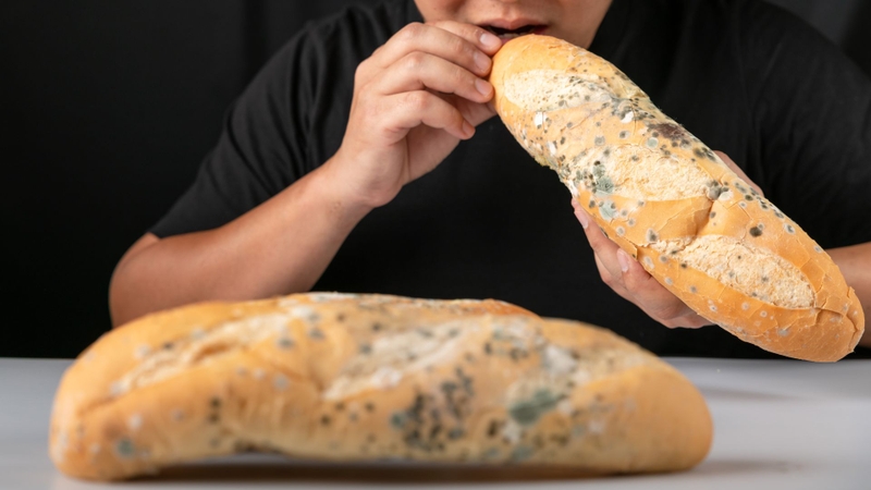 Bánh mì bị nấm mốc không nên chỉ cắt phần nhìn thấy