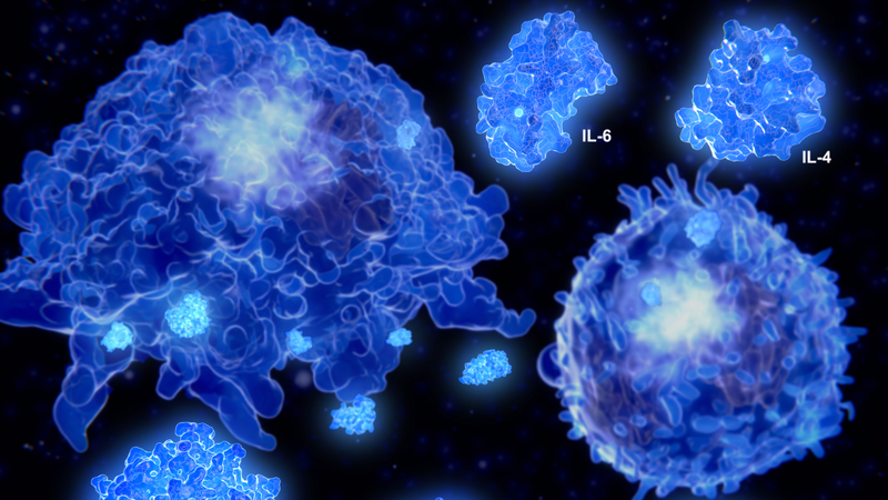 Bão cytokine là tình trạng hệ miễn dịch phản ứng ồ ạt, gây tổn thương hàng loạt cơ quan