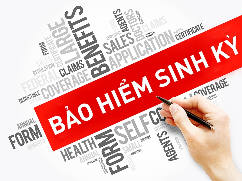 Tìm hiểu về bảo hiểm sinh kỳ