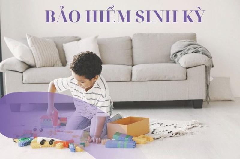 Bảo hiểm sinh kỳ là gì?