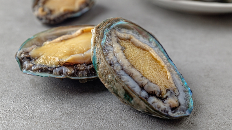 Bào ngư: Giá trị dinh dưỡng, tác dụng và lưu ý khi sử dụng 1