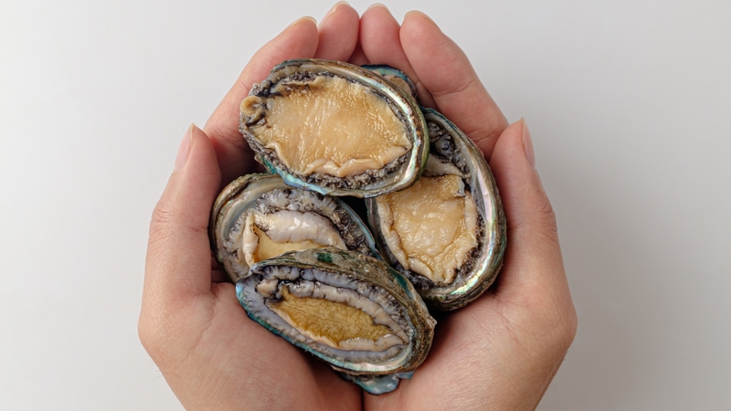 Bào ngư: Giá trị dinh dưỡng, tác dụng và lưu ý khi sử dụng 5