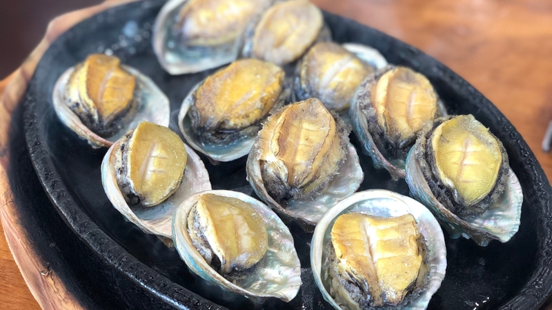 Bào ngư: Giá trị dinh dưỡng, tác dụng và lưu ý khi sử dụng 6