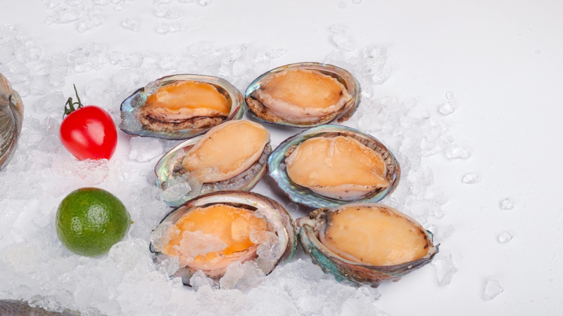 Bào ngư: Giá trị dinh dưỡng và lợi ích sức khỏe từ đại dương 3