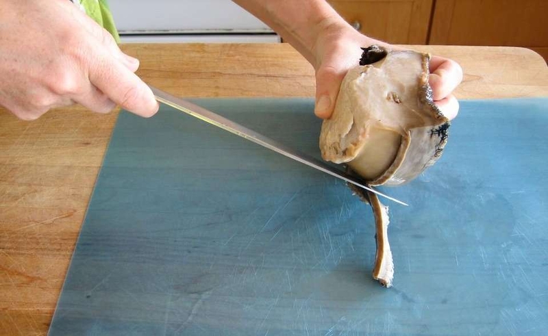 bào ngư làm món gì ngon 4