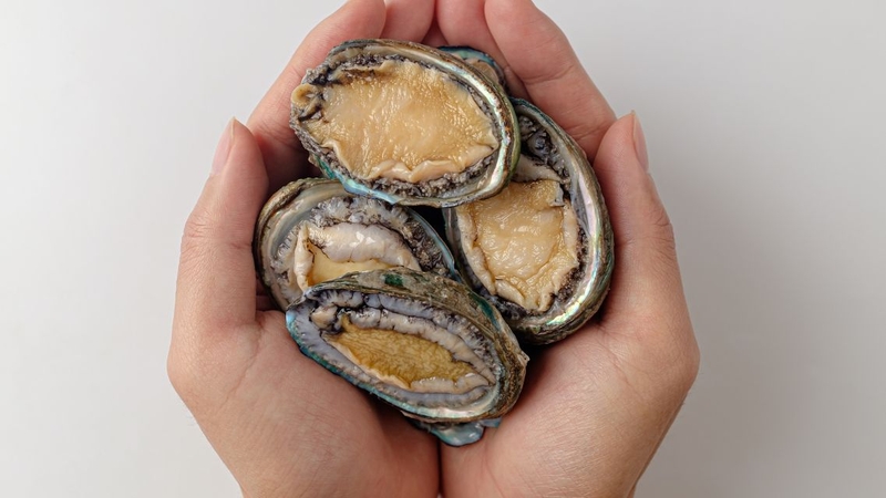 Bào ngư vi cá: Lợi ích sức khỏe và cách sử dụng khoa học 1