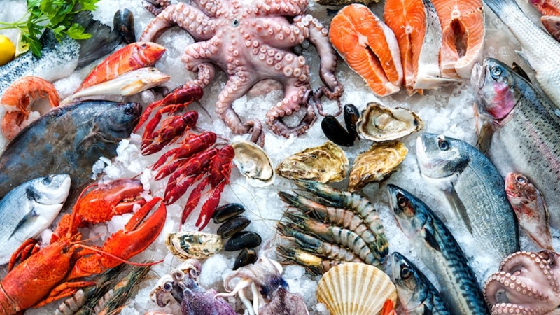 Bảo quản thực phẩm đông lạnh đúng cách không nên bỏ qua! 1