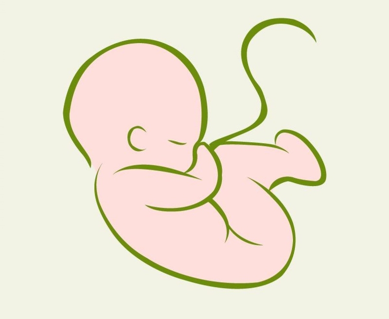 Bảo tồn khả năng sinh sản đối với phụ nữ mắc ung thư4